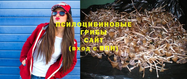 шишки Алексин